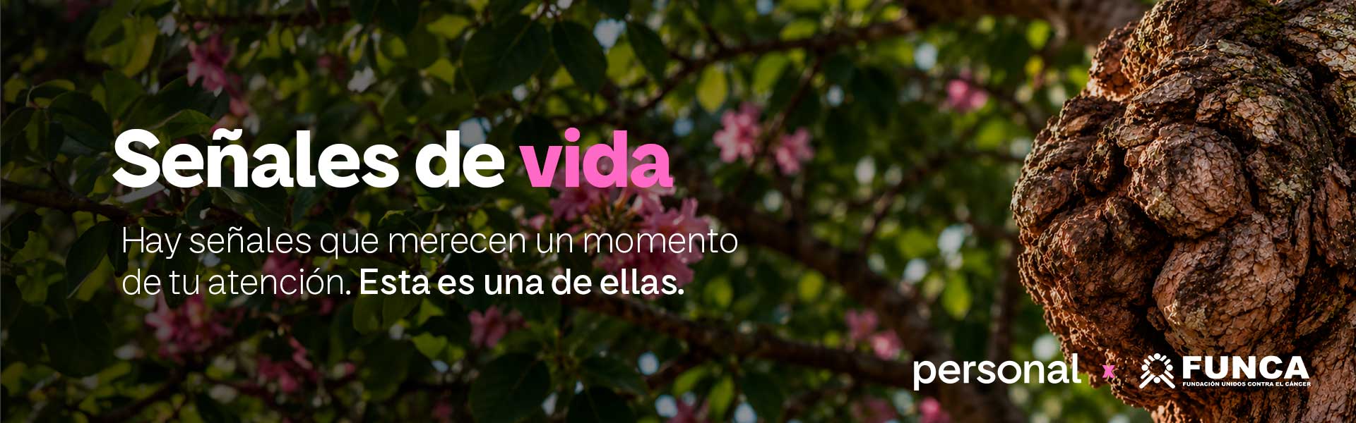 Octubre Rosa